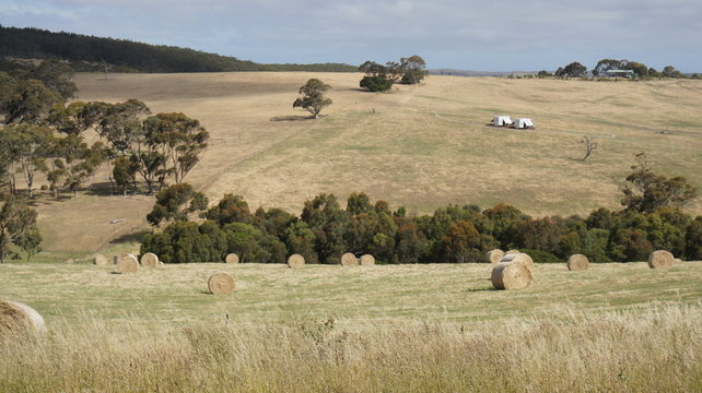 Hay Farm at the country side