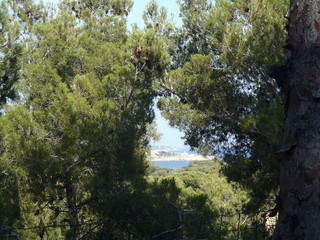 Fototapeta premium Sea view