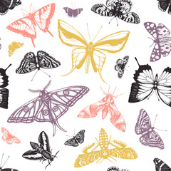 Hand drawn butterflies seamless pattern. High detailed insects backdrop in vintage style. 
