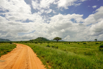 Landschaftsbilder aus dem Nationalpark Tsavo Ost Tsavo West und Amboseli