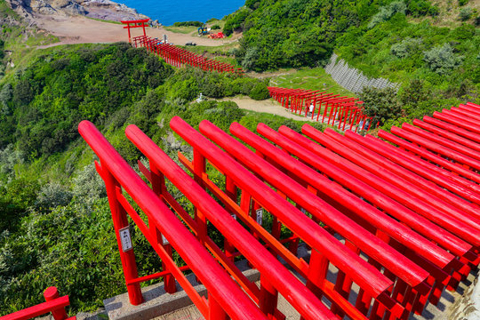 Repetitive Torii