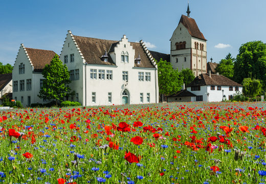 M&uuml;nster St. Maria und Markus und bl&uuml;hendes Mohnfeld, Insel Reichenau, Bodensee, Baden-W&uuml;rttemberg, Deutschland