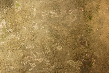 old antique rustic wall