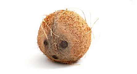 Coconut. Whole coconut isolated on white background.