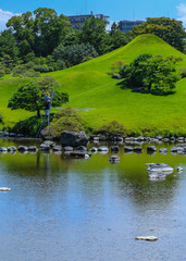 pond of Japanese garden 
