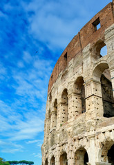 Fototapeta premium The Colosseum located in Rome, Italy.