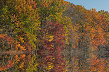 Autumn landscape of the shoreline of Warner Lake with mirrored reflections in calm water, Michigan, USA