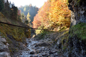 Hängebrücke über Bachlauf im Herbst