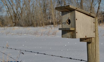 Birdhouse