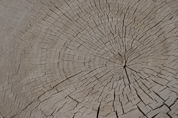 Wood cut background stock photo