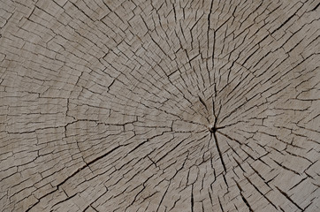 Wood cut background stock photo