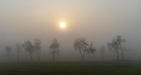 Fototapeta na wymiar Foggy sunrise in northern Hungary