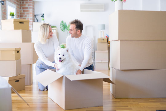 Young beautiful couple with dog sitting on the floor at new home around cardboard boxes