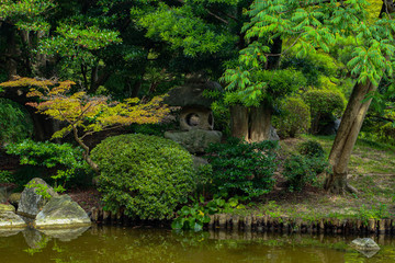 Fototapeta premium Japoński ogród