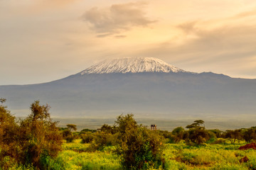 Bilder von dem Schneebedeckten Kilimandscharo in Tansania 