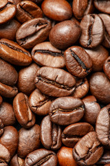 coffee beans in the detail close up