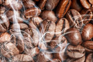 coffee beans in the detail close up
