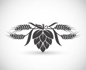 Hop and barley, brewery symbol vector