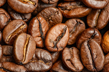coffee beans in the detail close up