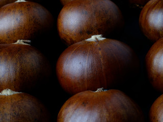 Chestnuts are grown as economic crops for selling seeds