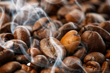 coffee beans in the detail close up