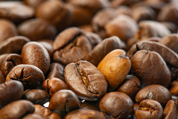 coffee beans in the detail close up