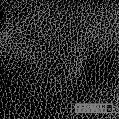 Black Leather Texture vector illustration background eps 10