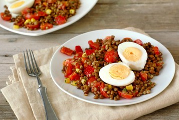 Fresh salad with lentils,tomato,pepper,sweet corn and egg on white plate