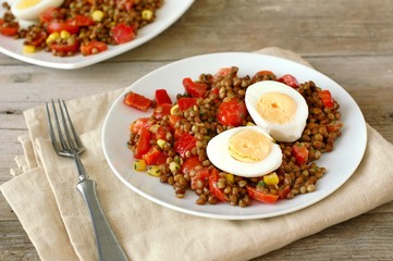 Fresh salad with lentils,tomato,pepper,sweet corn and egg on white plate