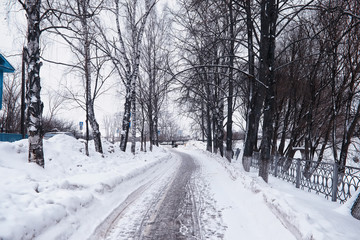 Winter forest landscape. Tall trees under snow cover. January frosty day in the park.