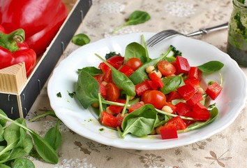 Vegetable salad with spinach,tomato,pepper,chickpea and greeen pesto on white plate