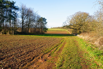Bare trees, hedgerows and newly ploughed fields