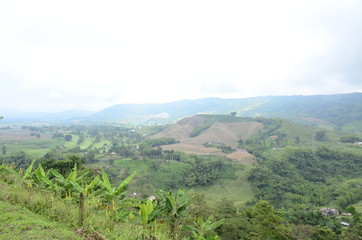 Fototapeta na wymiar Colombian coffee natural landscape, Manizales