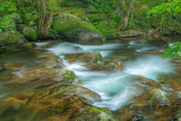 Naklejka na ściany i meble Summer landscape of a cascade on Big Creek captured with motion blur, Great Smoky Mountains National Park, Tennessee, USA