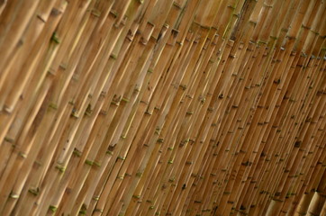 Guadua wall in the Ukumari Zoo