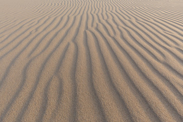 Sand waves on sand dunes in the Slowinski National Park. Czolpino, Leba, Poland