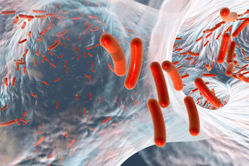 Medicine Bacteria and virus Picture