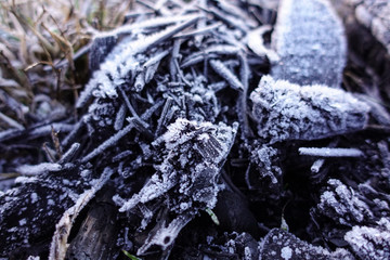Firewood in an extinct campfire covered with crystals of ice.