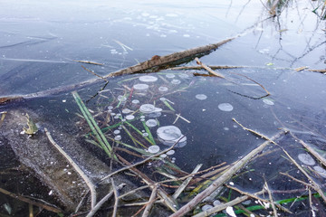 Forest lake covered in clear ice with frozen air bubbles.