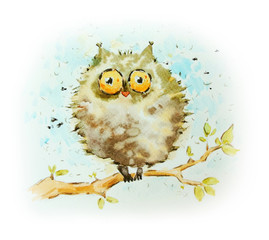 Watercolor owl.