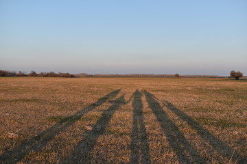 shadows in sunset