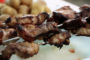 barbecue on the fire