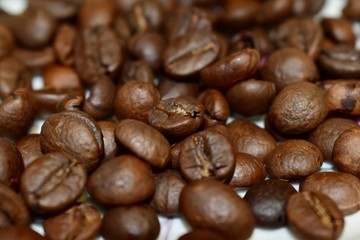 Roasted coffee beans on a substrate.