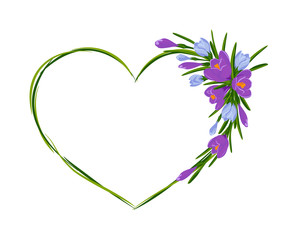 Beautiful heart frame with bouquet of crocuses. Vector illustration. Spring frame of violet and blue flowers and green leaves on white background