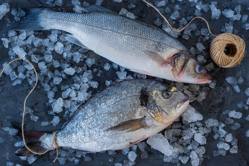 Fresh raw sea fish on ice cubes