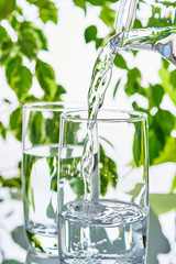 Two glasses of water on a green natural background. The glass is filled with water from a bottle