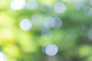 Obraz premium Zielone światło bokeh z tła drzewa i nieba to lśniący, naturalnie występujący cień, który nie jest czysty, ale piękny.