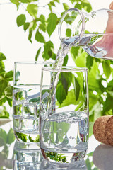 Two glasses of water on a background of green leaves in the sunlight. The glass is filled with water from a bottle.