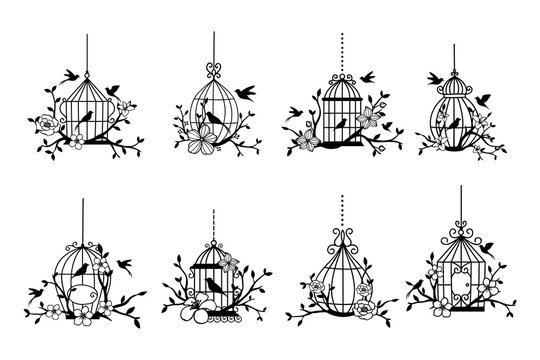 Set of hand drawn wedding birdcage collections