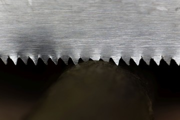 Macro photo of an saw cutting a branch.